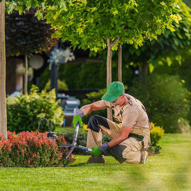 Serviço de Jardinagem