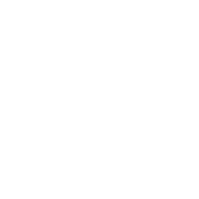 GN Force Logo